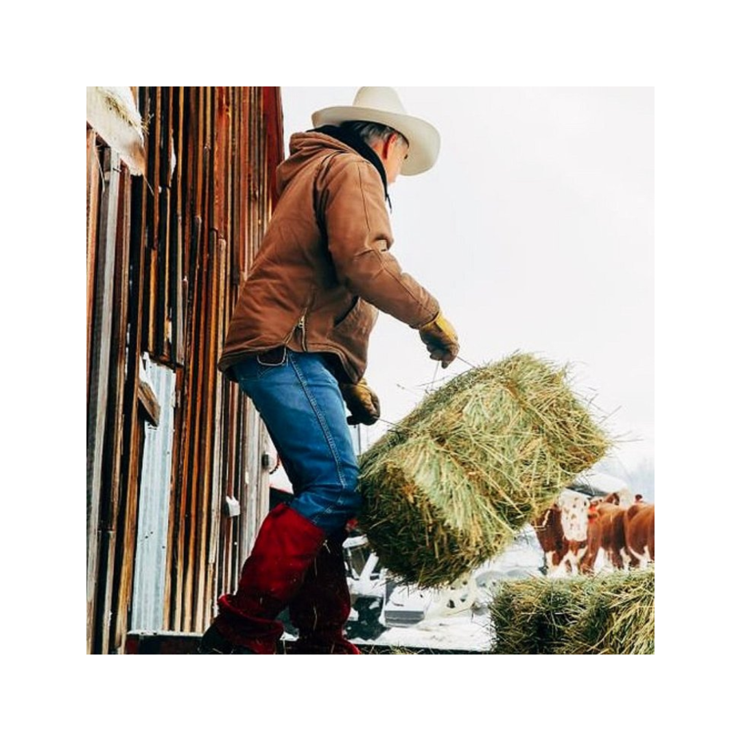 PolarJock® Cold-Weather Base Layer